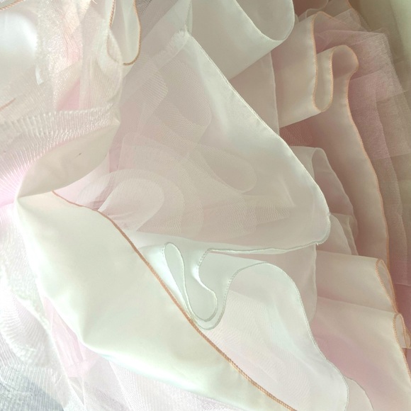 Pink Princess NWT- Blossom Poly Silk Bodice, Tulle Dress w/ Flower & Sash - Picture 7 of 9